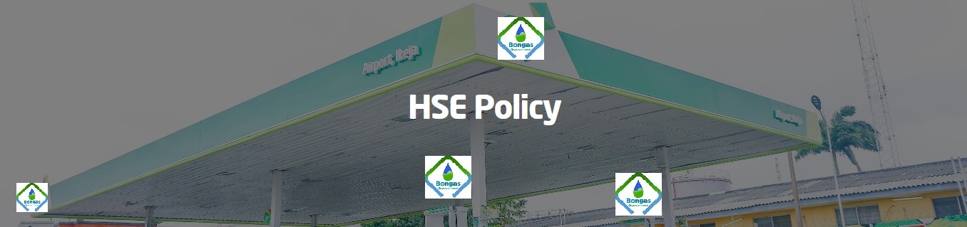 HSE Policy